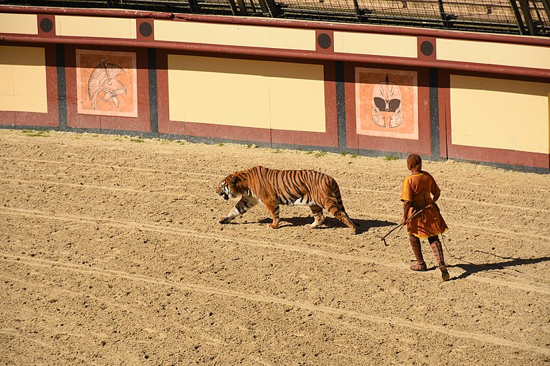 File:Colosseum - Roman Arena 64 - Tiger and Tamer 2.jpg