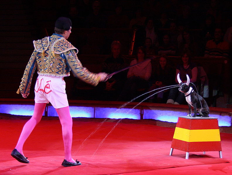 File:Comedy Tierdressur im Zirkus Stierkampf.JPG