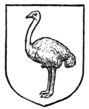 Fig. 463.—Ostrich