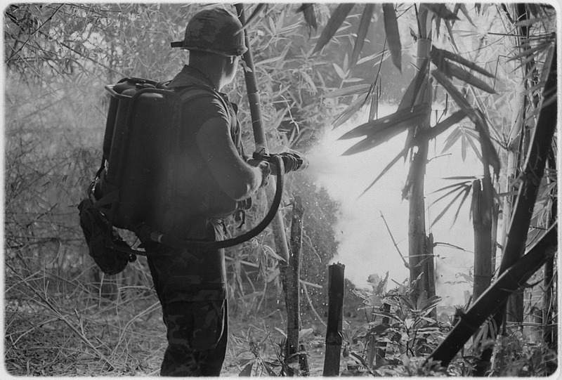 File:Da Nang, Vietnam.... Sergeant Robert E. Fears clears an area using his flamethrower. - NARA - 532491.tif