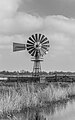 * Nomination The Alde Feans. Wetland nature reserve. American windmill. --Agnes Monkelbaan 04:16, 13 July 2023 (UTC) * Promotion  Support Good quality. --XRay 04:27, 13 July 2023 (UTC)