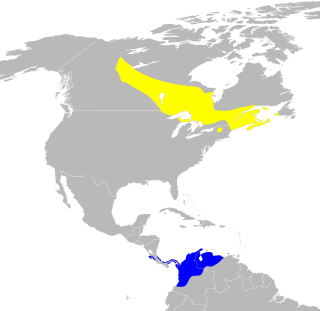 Mapa występowania