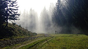 Fog in Lower Austrian Eisenwurzen