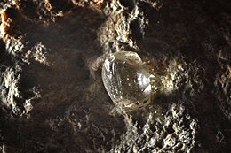 A clear octahedral stone protrudes from a black rock.