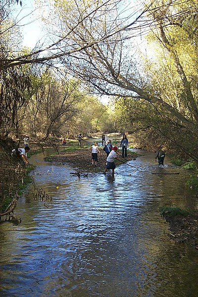 File:Discovery Corner, duck race (4b000982-d067-4103-bd5b-78a5c24facb5).jpg