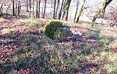 Dolmen du Bout-de-la-Combe