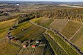 * Nomination Aerial view of Donnersdorfer Falkenberg --Ermell 09:08, 11 November 2021 (UTC) * Promotion  Support Good quality. --Velvet 07:22, 12 November 2021 (UTC)