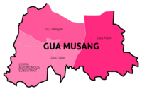 Gua Musang (federal constituency)