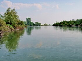 Dunajec w Otfinowie