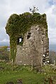 Dunollie Castle - view of outer wall structure from E.jpg