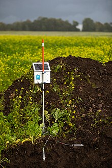 Native Grasses Provide Forage, Moisture Retention in Southwest