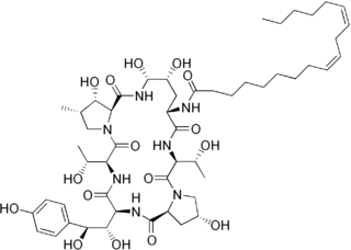 Echinocandin group of chemical compounds