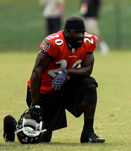 Ed Reed 2008-08-13.jpg