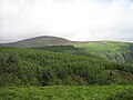 en:Impressions from the Wicklow Mountains national park de:Eindrücke aus dem Wicklow Mountains Nationalpark