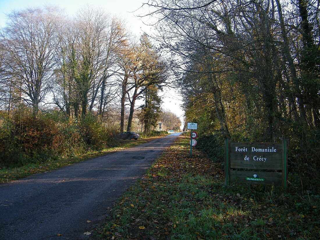 File:Entrée Forêt.JPG