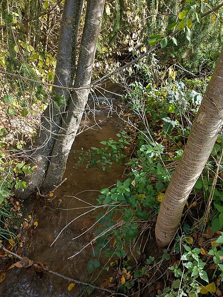 File:Erlenbach nahe der Barthelsmühle.jpg