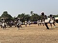 Festival baga kawass en Guinée 85 by M keita1321