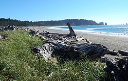 First Beach, La Push, costa di Washington, Parco nazionale di Olympic