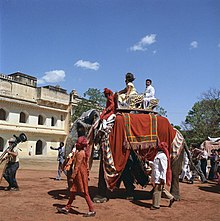 First Lady Jacqueline Kennedy rides an elephant in India (2).jpg