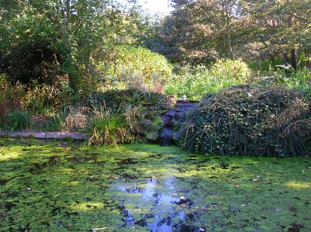 The park's fish pond, October 2007