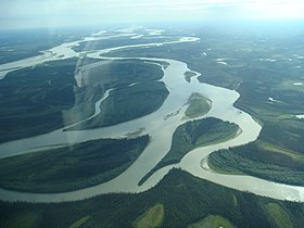 Sorvolando i meandri del potente Yukon verso Arctic Village.jpg