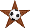 The Football (Soccer) Star