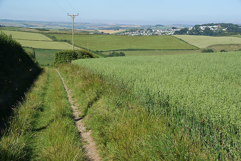 File:Footpath to Rew - geograph.org.uk - 2519490.jpg