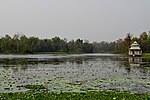 Thumbnail for File:Ganga Mata Temple Siddha Baba Lake Dhangadi Nepal Rajesh Dhungana (8).jpg