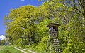 * Nomination Grove at Bretzenstein west of Hemmendorf, with corner of "Bretzenstein orchard" protected landscape element --Plozessor 03:17, 11 May 2024 (UTC) * Promotion  Support Good quality. --XRay 04:04, 11 May 2024 (UTC)