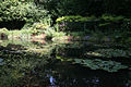 Giverny - Jardin Monet