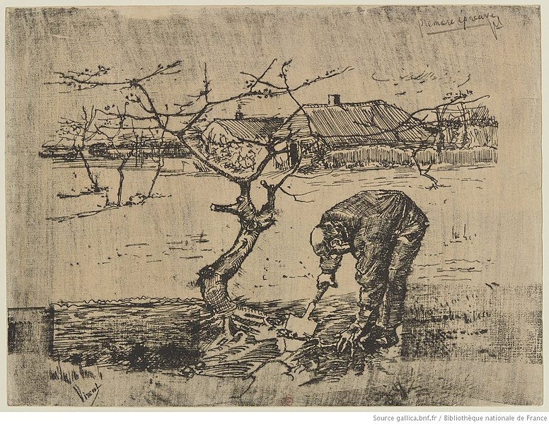 File:Gogh - Dans le verger, btv1b10502005z.jpeg