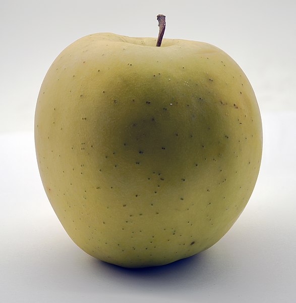 File:Golden Delicious apple 2021.jpg