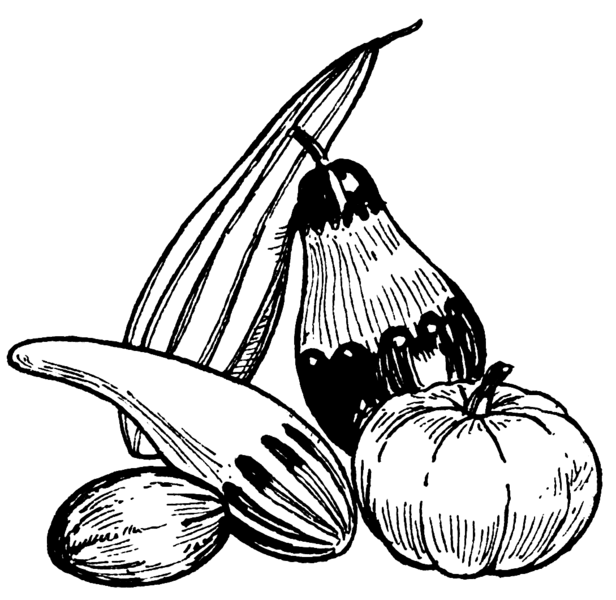 File:Gourds (PSF).png