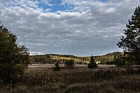 Grichino (oblast de Léningrad)