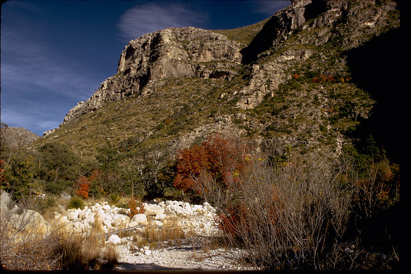 File:Guadalupe Mountains National Park GUMO3340.jpg