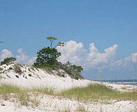Gulf Islands National Seashore, near Pensacola Gulf Islands NS.jpg