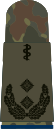 Oberfeld­arzt(hum. medicine)