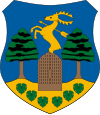 Герб Кишкёрёса 