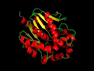 Haloalkane dehalogenase