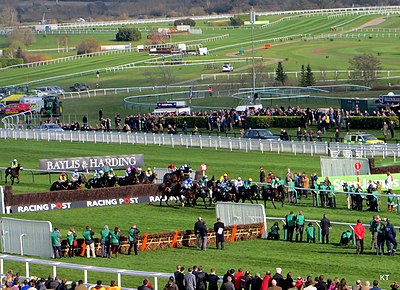 Cheltenham Racecourse