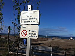 Pláž Hanlan's Point Beach, Toronto.jpg