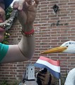 Haring happen Katwijk, 10 maart 2022 Herring in Katwijk (Netherlands).jpg
