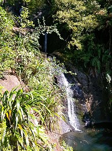 Fairy Falls on Stoney Creek, a tributary of Opanuku Stream