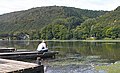 Wasserpest auf dem Hengsteysee, 2008 (auf Commons)