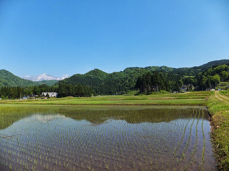 File:Higashitane, Kamiichi, Nakaniikawa District, Toyama Prefecture 930-0441, Japan - panoramio (5).jpg