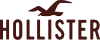 Hollister (entreprise)