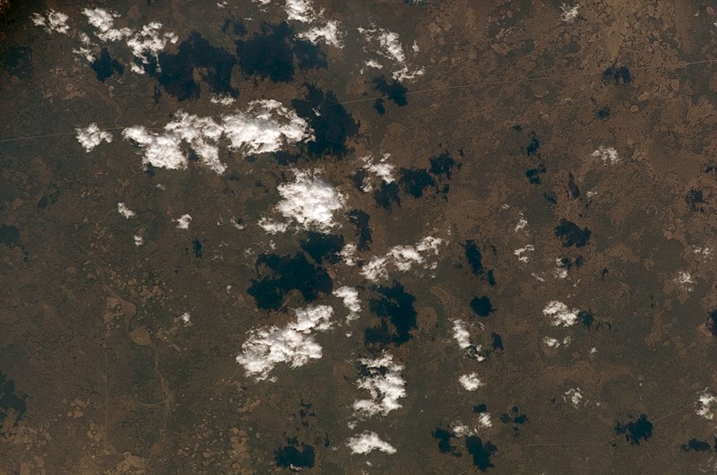 File:ISS017-E-6379 - View of Mozambique.jpg