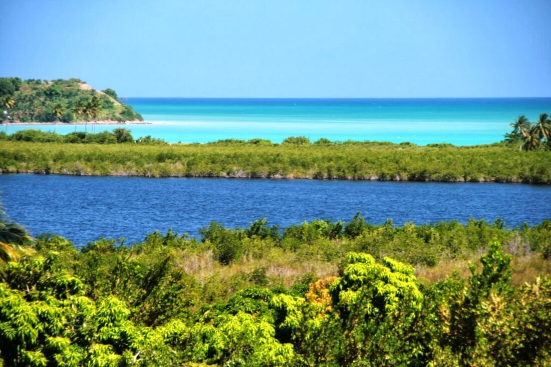 Isla de la Vaca (Haití)