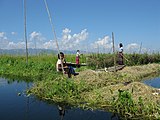 Inle Lake, Bassqueens, Myanmar.jpg