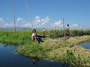 Jezero Inle